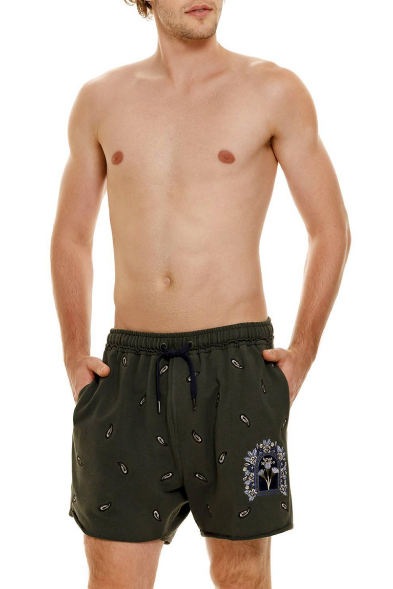 Main image -  Cipres-Cece-Men-Shorts-14259-front-with-model