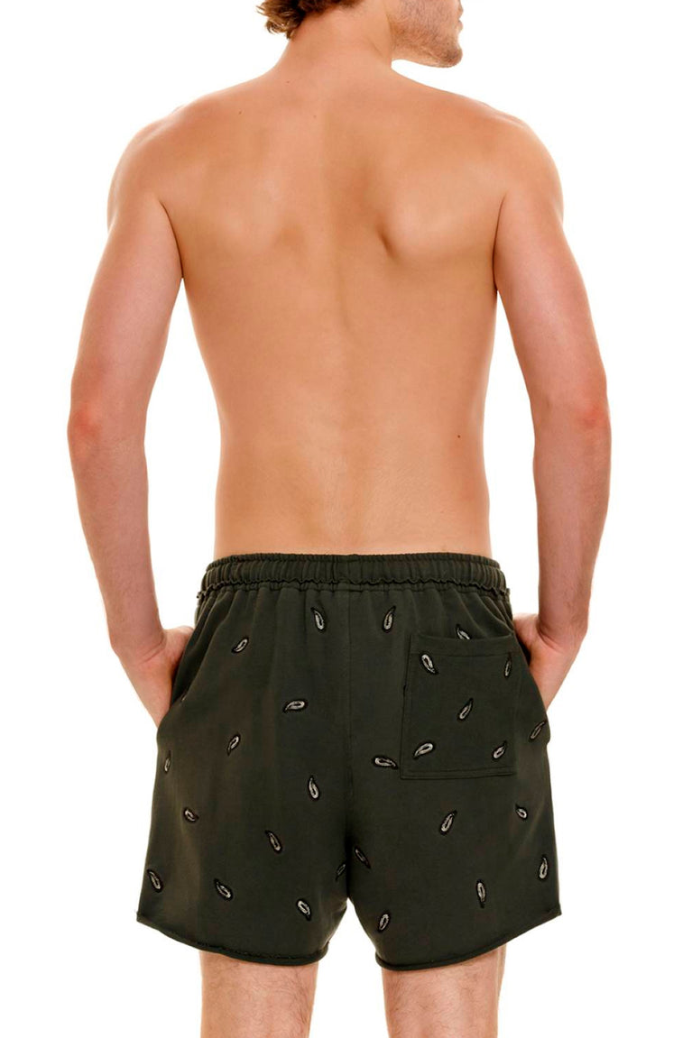 Hover Alternative image -  Cipres-Cece-Men-Shorts-14259-back-with-model