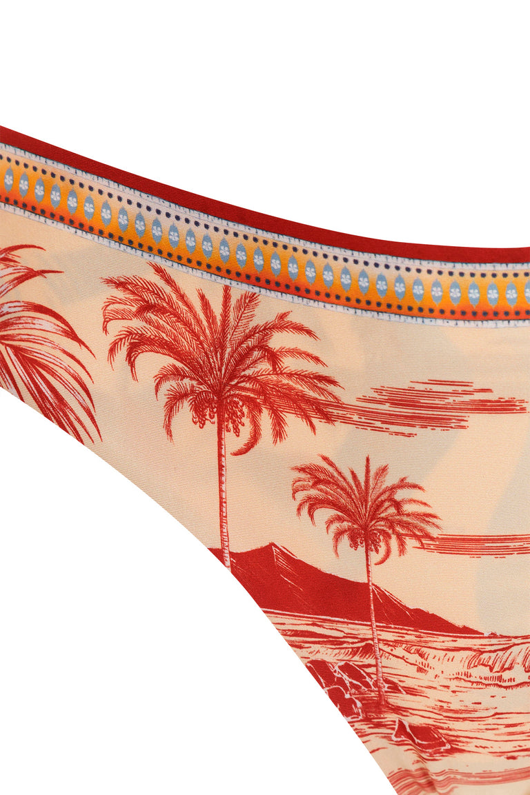 Palm Trees Wide Side Bikini Bottom C12B1278 – Agua de Coco